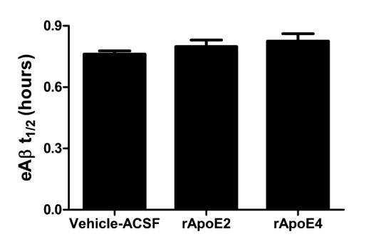Figure A5. rapoe particle treatment appears to decrease Aβ clearance.