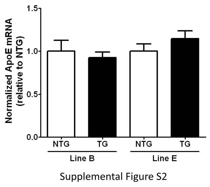 Supplementary Figure 2, related to Figure 2. No alteration of apoe mrna levels in cortex of LDLR transgenic mice.