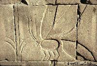 BeeDomesticators In 3000 B.C.