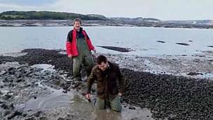 8. Creating new mussel beds