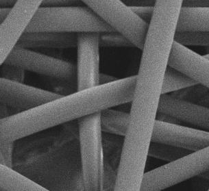 SEM SEM Images of of PAN/Chitosan Composite Membrane Surfaces 20 μm Nonwoven Polyester Substrate 1