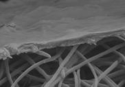 nanofibrous scaffold support Breakthrough 1 2 µm Mid-layer 1 µm Fractured Additional layer