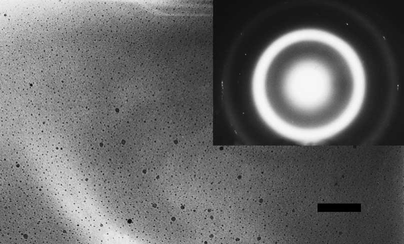 with TEM, DSC and magnetic measurements to elucidate the crystallization and kinetic behaviour of this metallic glass.