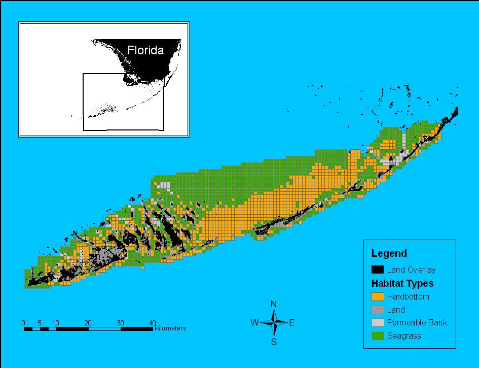 Spiny Lobster / Sponge Spatially Explicit IBM Model Spatial Structure of Individual-Based Spiny Lobster Recruitment Model Applications Thus Far: Everglades restoration: the effect of changing