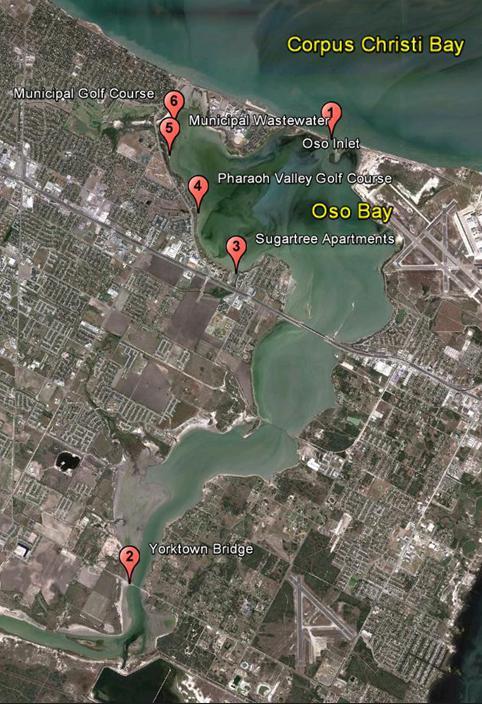 Methods Study location Oso Bay (Corpus Christi, Texas) is a shallow ( 1 m depth) coastal embayment that drains into Corpus Christi Bay.