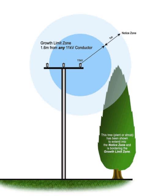 The control zone for vegetation is: Table 6.3 Growth Limit Zones GROWTH LIMIT ZONE Line Voltage Growth Limit Zone Notice Zone 33kV lines 2.5m 3.5m 11kV lines 1.6m 2.6m 400/230V lines 0.5m 1.5m 6.