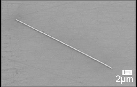Plasmonic waveguides: Diameter: 300 nm Length: 45 μm.