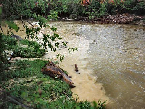 Urban runoff can contain sediment, nutrients, pathogens, petroleum hydrocarbons, heavy metals,
