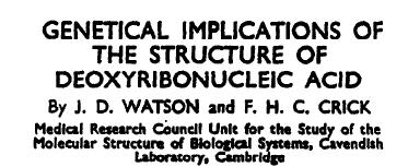 Watson & Crick (1953) Watson & Crick (1953) Until now, however, no evidence has been presented to show how it (DNA) might carry out the essential operation required of genetic material, that of exact