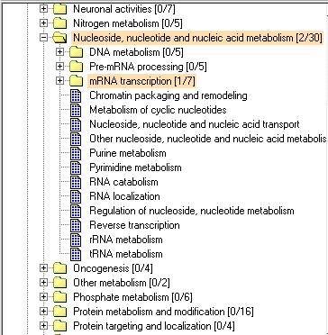 Pro ID Software Protein Summary results sorted by molecular function.