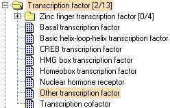 PANTHER molecular functions represented for the proteins identified from all DNA affinity column fractions.