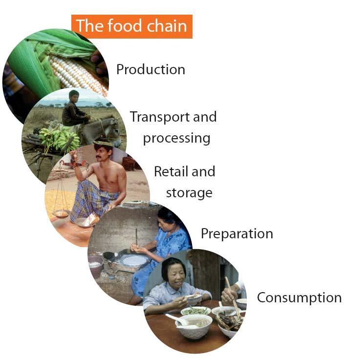 FAO s Regional Food safety & Quality Programme - Approaches Food chain approach hazards may arise at different stages of the food supply Preventative risk-based approach is followed rather than a