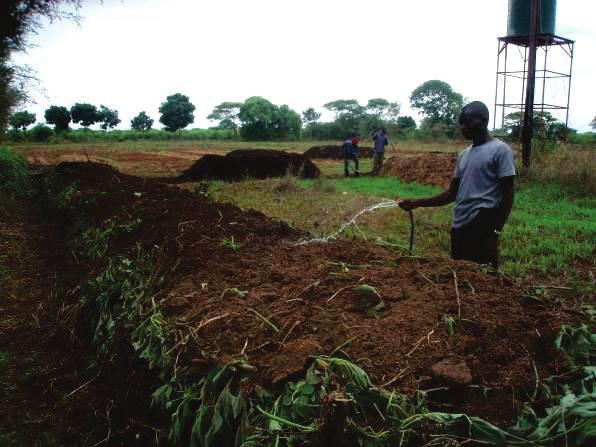 Zambia Ripe for up-scaling wherever agriculture takes