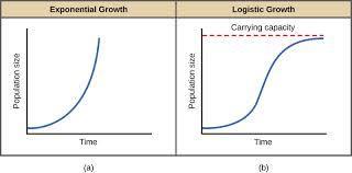 17. Which graph curve shows a J-curve population growth curve? Exponential Growth 18. What can cause a population to show this type of curve?