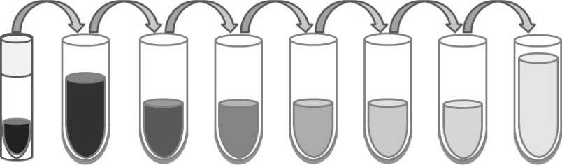REAGENT PREPARATION Do not mix or substitute Assay Diluent from other kit lots. All reagents should be prepared right before use, and diluted solution should be used immediately.