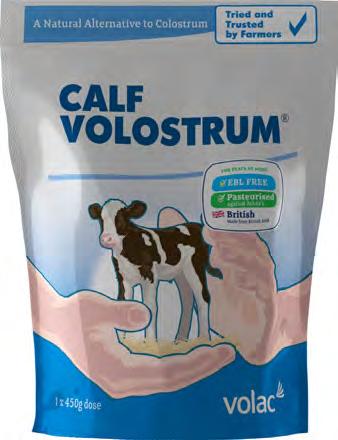 Volac Calf Volostrum Volostrum is a high quality natural alternative to colostrum and is recommended for use when an adequate supply of good quality maternal colostrum is unavailable.