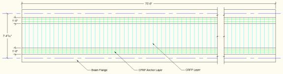 FRP Cross Section of the Deck with CFRP