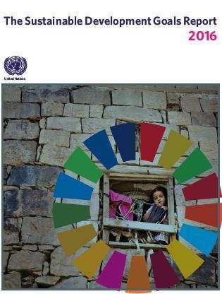 Annual SDG Progress Report