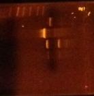 Figure 1. Agarose Gel with Plasmid DNA and PCR In Figure 1, the left-most lane (lane 1) contains the DNA ladder.