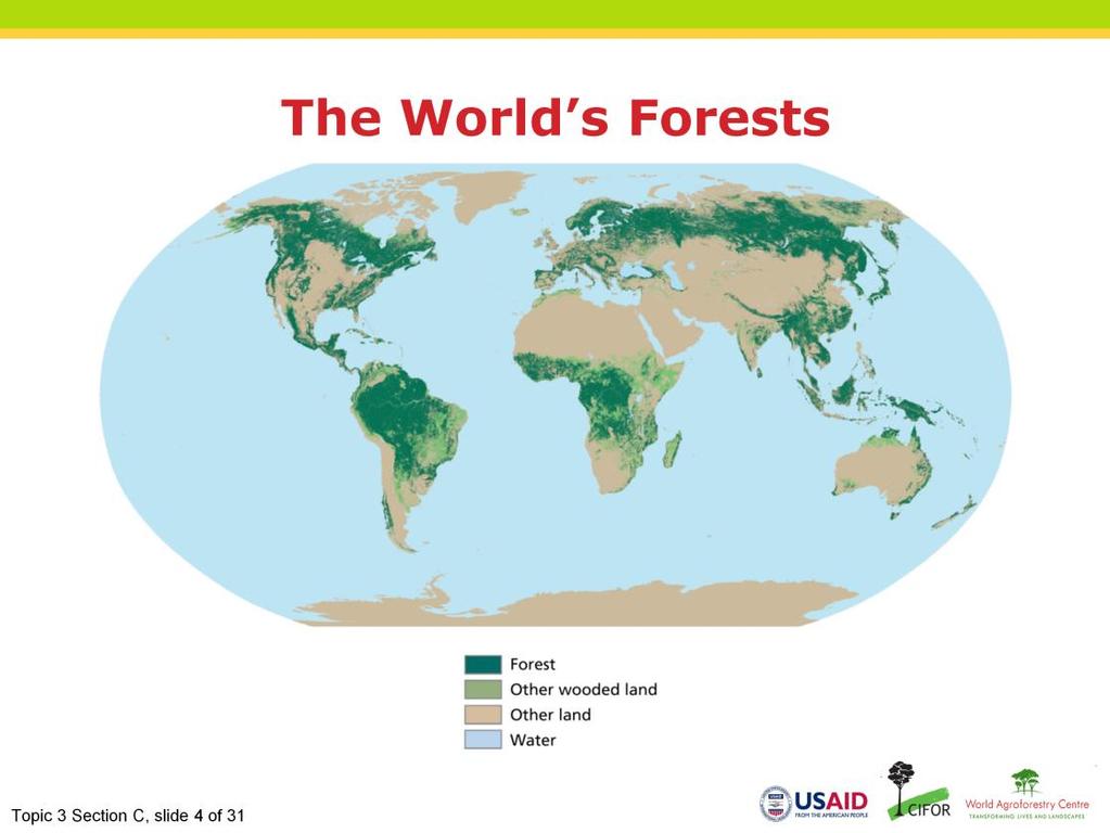 Narration: Forests are among the most valuable ecosystems in the world.