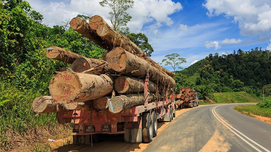 Understanding tropical deforestation By NASA on 03.13.17 Word Count 2,411 Two logging trucks on the Kalabakan-Sapulot-Road take heavy tropical timber logs to the log pond in Kalabakan, Indonesia.