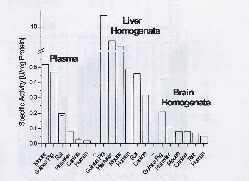 Specific Activity of Total Esterase in Plasma, Liver and Brain from Various