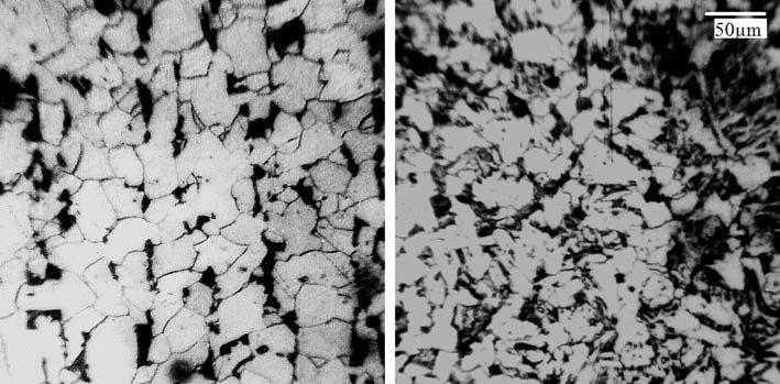 Effects of Cr and Ni in low alloy steel 1443 Figure 5. Optical micrograph of steels 1 4 cooled at 120 C/min ( 200).