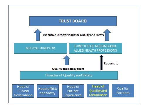 Professions (AHPs) are the Executive Directors jointly accountable to the Trust Board for delivery of the quality