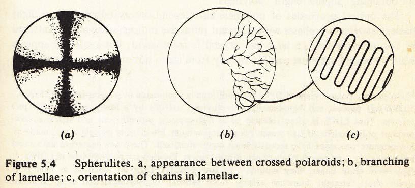 4. Model of Crystallites (Morphology) Chapter 5 4.