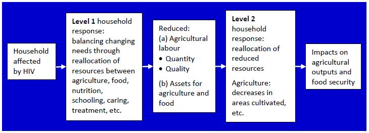 the production and reproduction unit, illness and death of any one household member will have consequences for agriculture and food security. Figure 4.