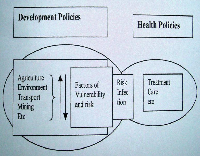 Figure 6. Percentage changes in food and cash crops grown in non-affected households 4. Factors of vulnerability and resilience to HIV 4.