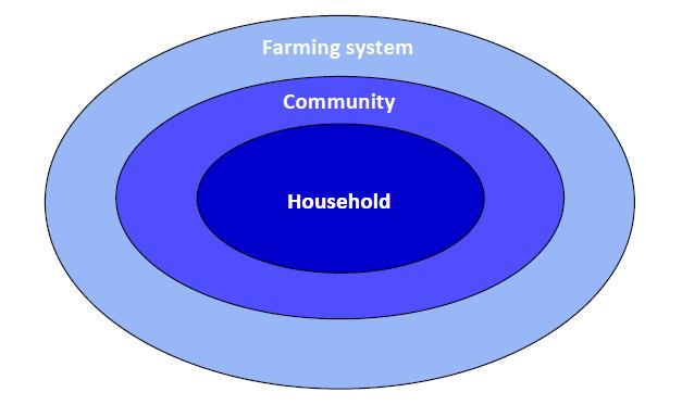 4.2 Household vulnerability One specific characteristic of the agriculture sector is that households and communities are embedded in farming systems, as illustrated in Figure 8.