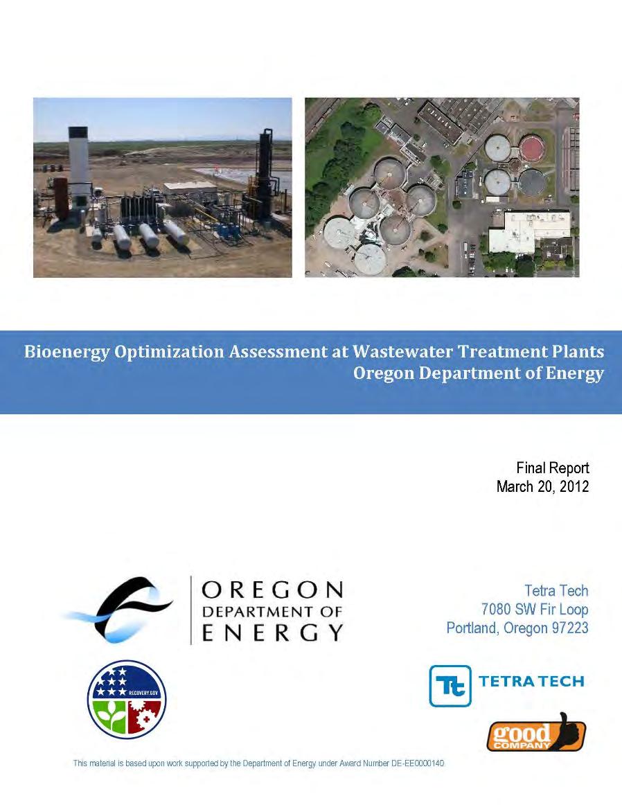The Next Flared Biogas Utilization Project Project Scope developed as Cogen Expansion in 2009. No grants available to help financial payback.