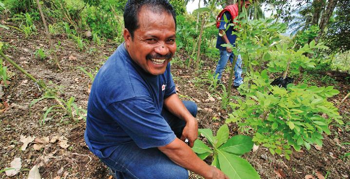 crossheasds crossheasds Indonesian Red Cross volunteer Firmus Resi with a young jati shrub planted on the edge of a maize field on Flores island as part of the Netherlands Red Cross 8 1 Pledge