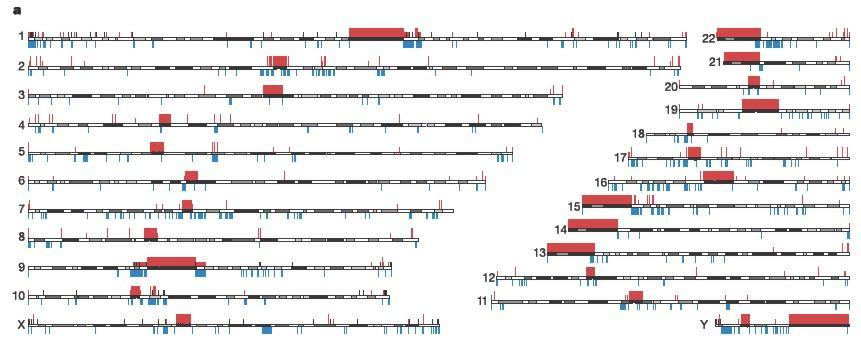 Repeated sequences in the human genome v Gaps SD Segmental duplications Intra/interchromosomal duplicated sequences with