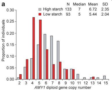CNV example: the amilase gene Japanese individual High-starch diet (14 copies) The amylase protein levels in saliva are proportional to the number of the AMY1 gene copies African individual