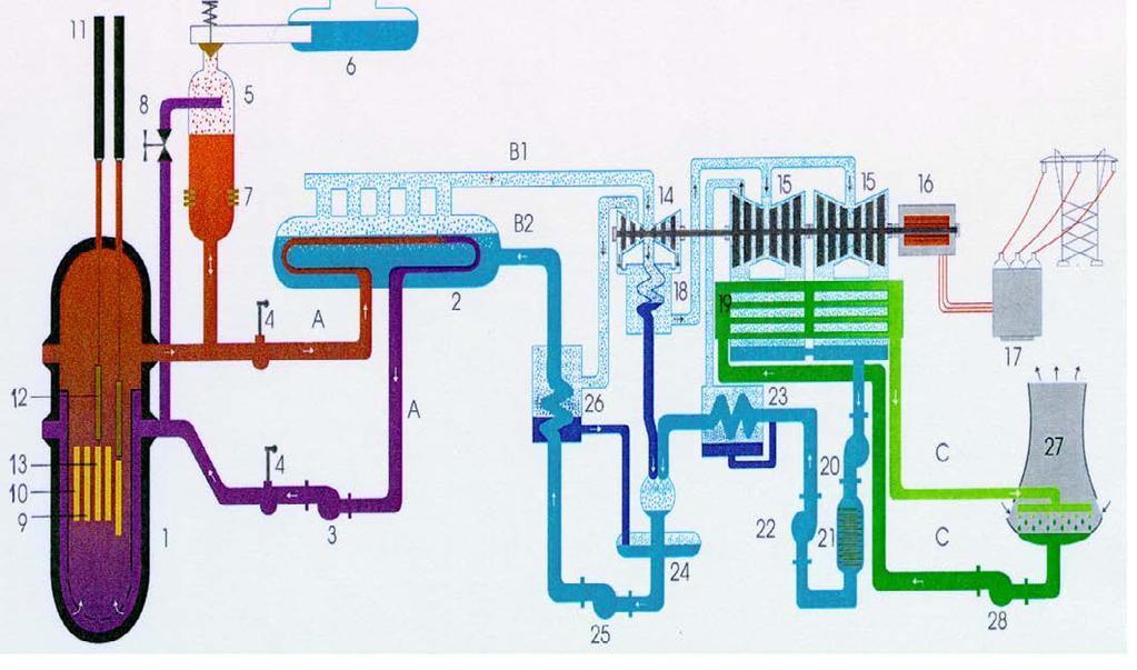 VVER 440 Flow Diagram A - Primary circuit coolant water B1 - Steam from SG B2 - Feed water C - Cooling water 1. Reactor 2. Steam generator 3. Main circulation pump 4. Main isolation valve 5.