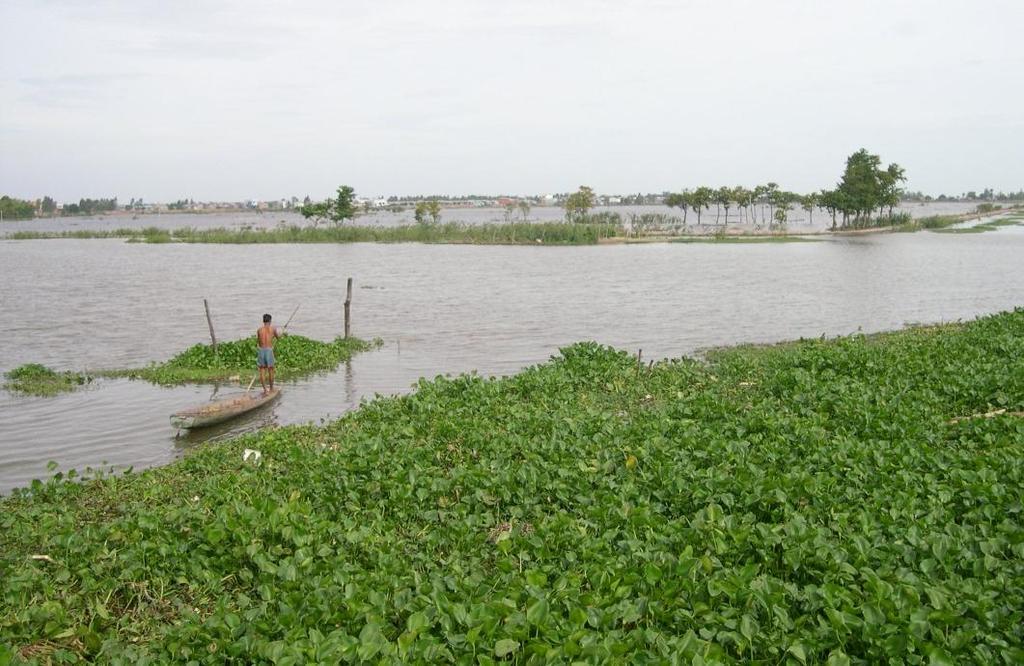 Study on the Impacts of Mainstream Hydropower on the Mekong River Final