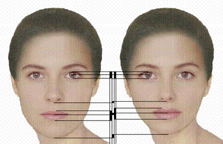 Human Facial Beauty Beauty is view as arbitrary and nonimportant The average face in a population is perceived to be most attractive Studies using FacePrints have