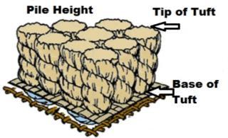 To explain further, the tufted weight is the weight of the carpet as it is set up to be produced on the tufting or weaving machine.