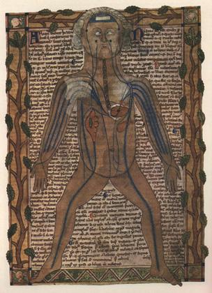 Changes in view of human body 12th century