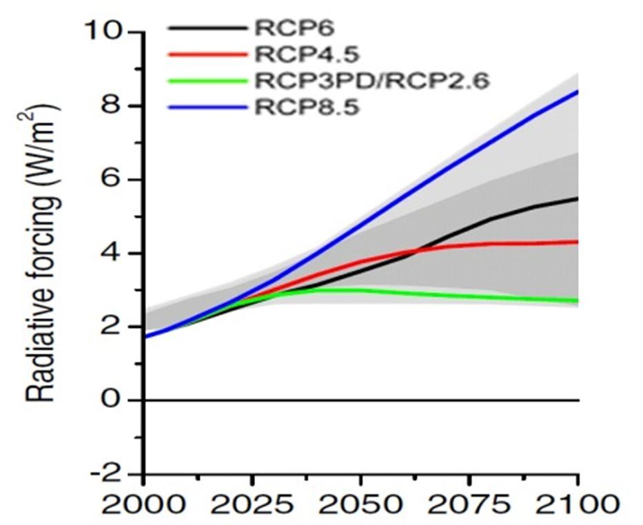 4.0 Dynamically Downscaled RCM Data for Narmada Basin The climate data for the future is available from the Global Climate Models (GCM).