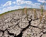 causing temperatures to rise, shortage of rainfall and this is the cause of drought,