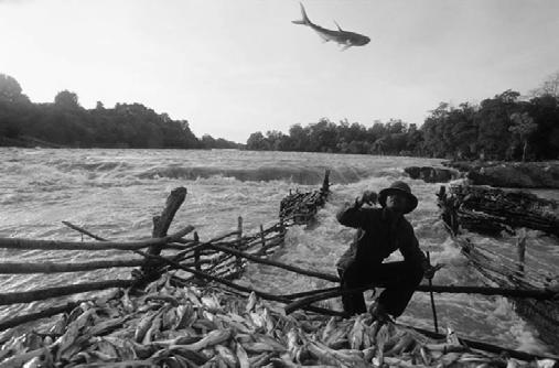 Suthep Kritsanavarin The Mekong River: FEEDI