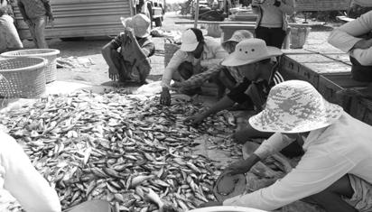 Cambodia Over 80% of those living nearby the Tonle Sap Lake derive some income from fish Approximately 65-75% of the animal protein average Cambodian households
