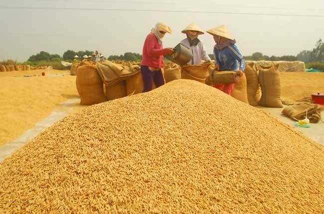 The Delta supplies more than 53% of the nation s staple rice and crop