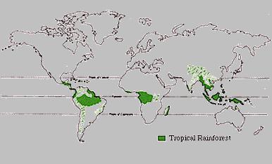 The largest tropical rainforest is in South