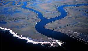 * Estuary * border between a freshwater biome and a marine biome * are salt marshes, lagoons, swamps, and mouths of rivers that go into the ocean * are a mixture of freshwater and salt