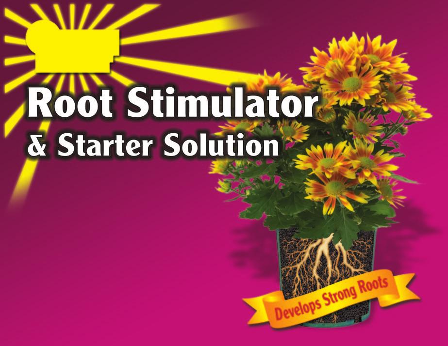 CONCENTRATE Root Stimulator & Starter Solution 5-15-5 For Newly Planted Flowers, Shrubs and Trees Around The Home KEEP OUT OF