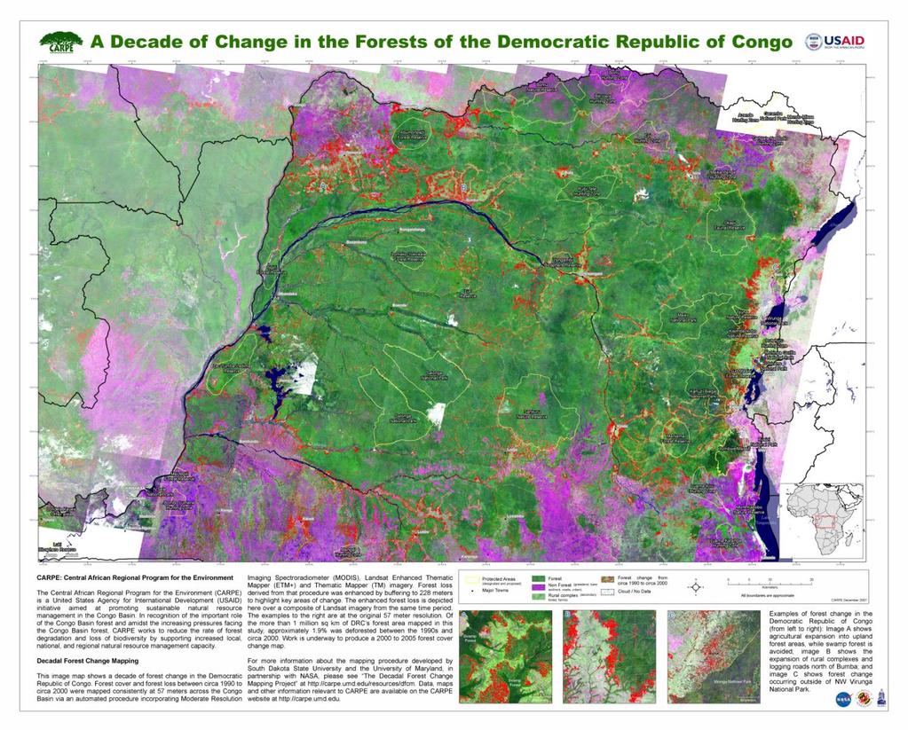 Results of monitoring Congo Basin